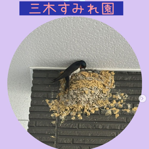 アイコン