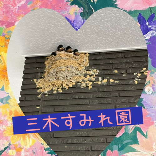 アイコン