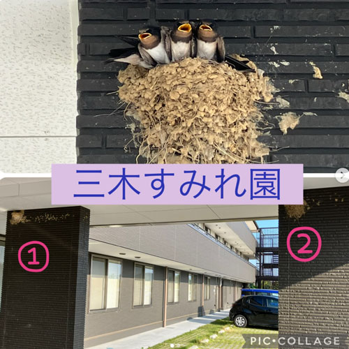 アイコン